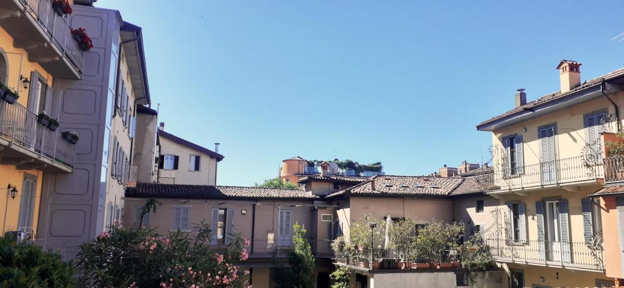 Appartement Pennyroyal *